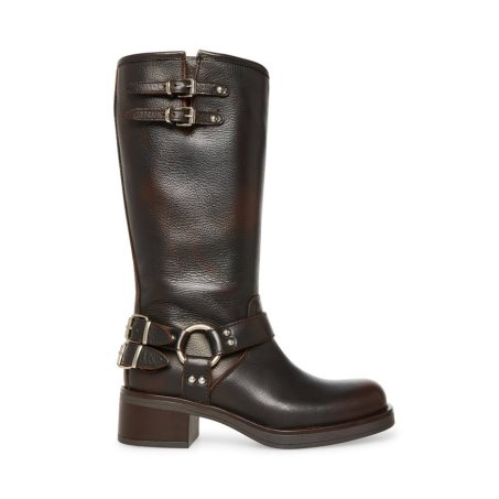 Dark Brown Steve Madden Axelle Leather Women's High Boots | PH 8352WSI